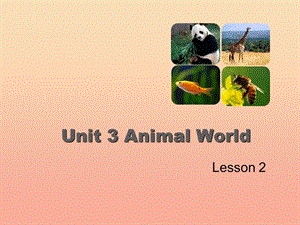 2019六年级英语上册 Unit 3 Animal World（Lesson 2）课件 人教新起点.ppt
