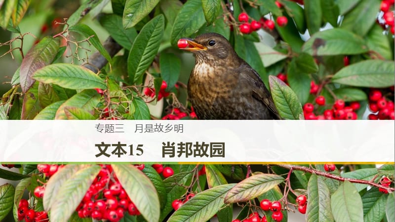 （浙江專用）2018-2019版高中語文 專題三 月是故鄉(xiāng)明 文本15 肖邦故園課件 蘇教版必修1.ppt_第1頁