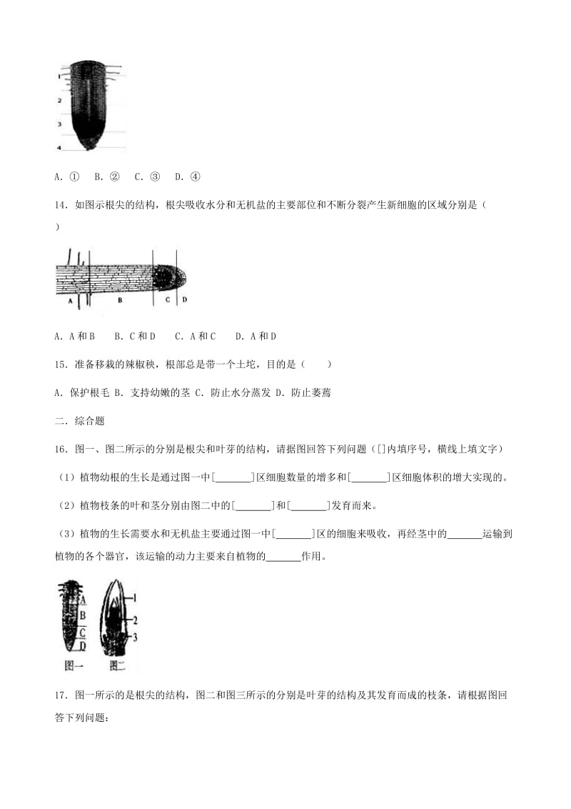 七年级生物上册 第四单元 第一章 第5节 根的结构和功能同步测试题（新版）济南版.doc_第3页