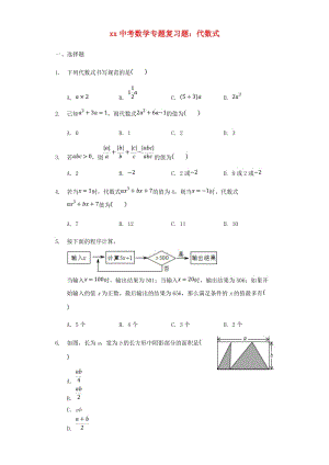 中考數(shù)學(xué)專題復(fù)習(xí)題 代數(shù)式（含解析）.doc