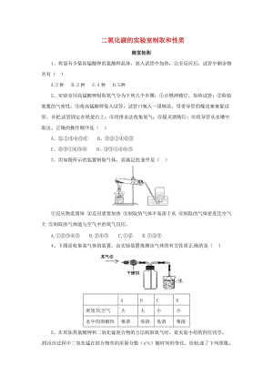 九年級(jí)化學(xué)上冊(cè) 第六單元 碳和碳的氧化物 實(shí)驗(yàn)活動(dòng)2 二氧化碳的實(shí)驗(yàn)室制取和性質(zhì)隨堂檢測(cè) 新人教版.doc