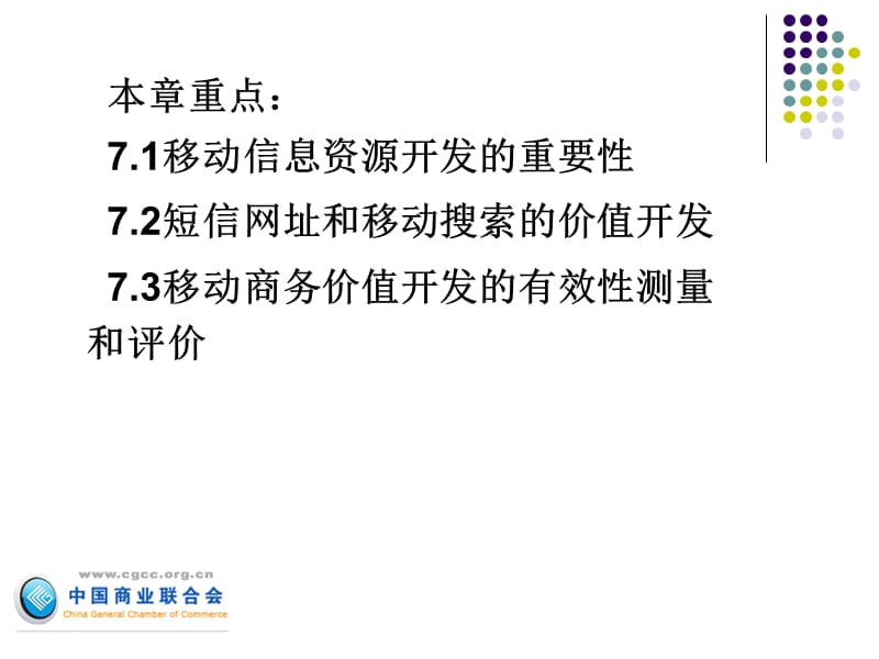 移动商务资源的资源开发.ppt_第2页