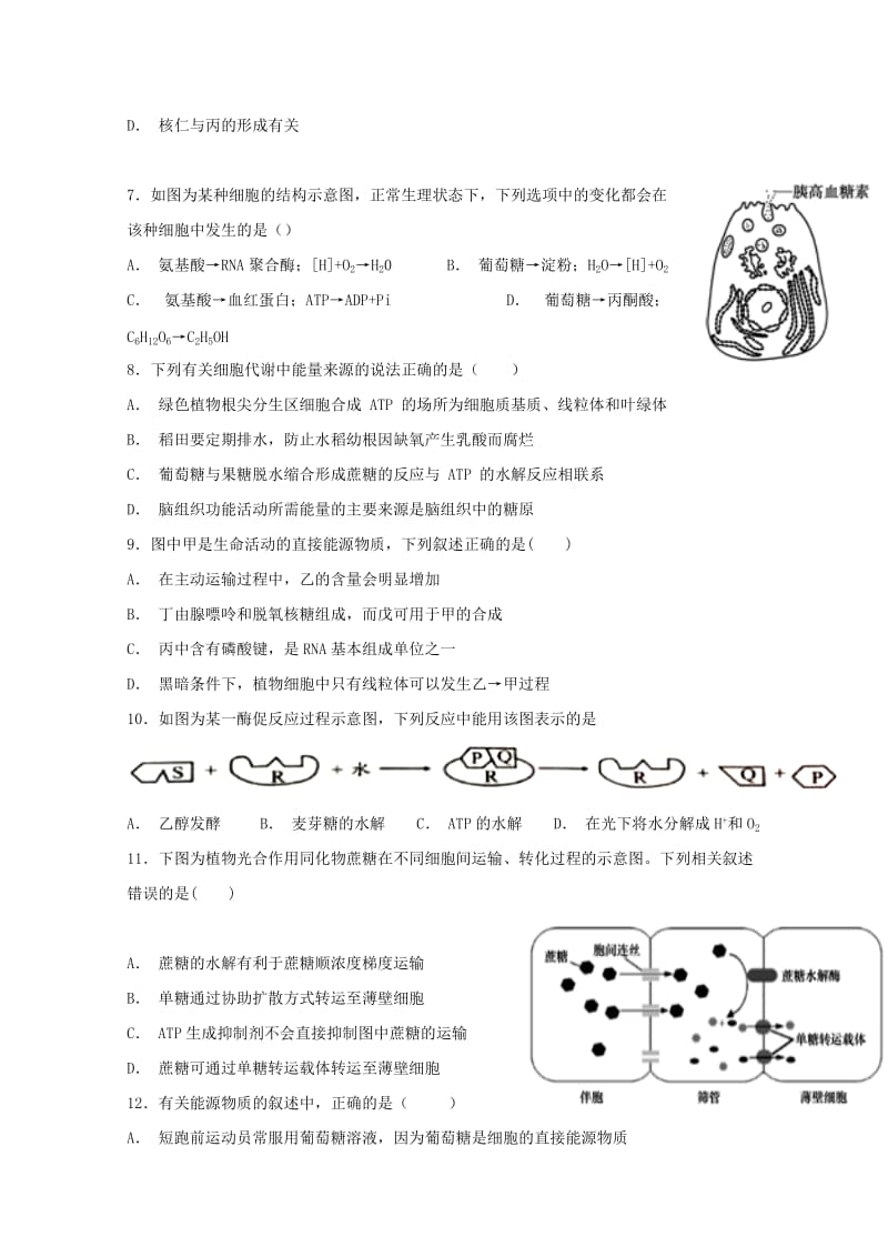 2018-2019学年高一生物上学期期末模拟考试试题 (I).doc_第2页