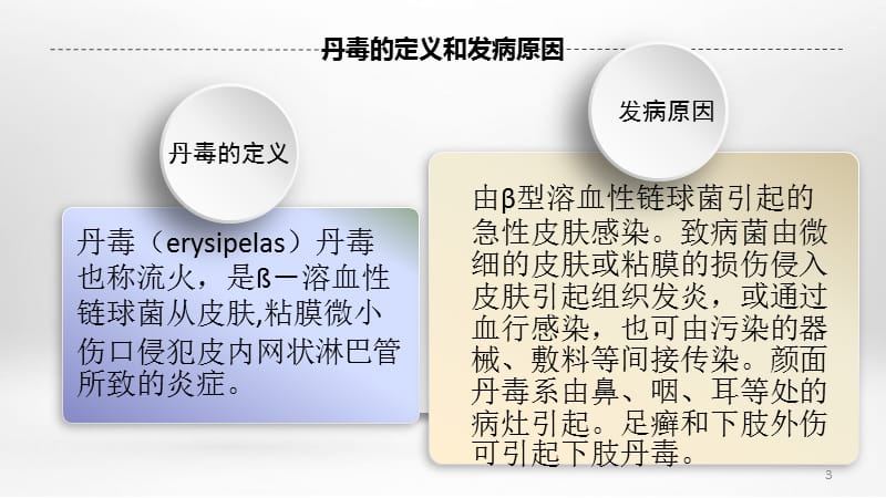 丹毒个案护理ppt课件_第3页