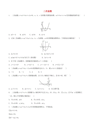 中考數(shù)學(xué)專項復(fù)習(xí) 二次函數(shù)練習(xí).doc