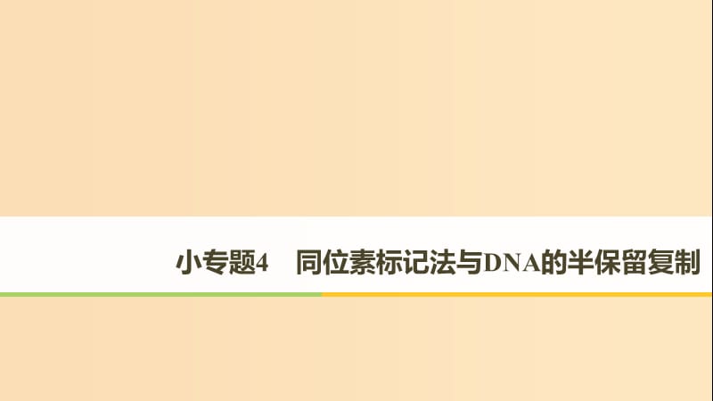 （全國通用版）2019高考生物二輪復習 專題四 遺傳的分子基礎、變異與進化 小專題4 同位素標記法與DNA的半保留復制課件.ppt_第1頁