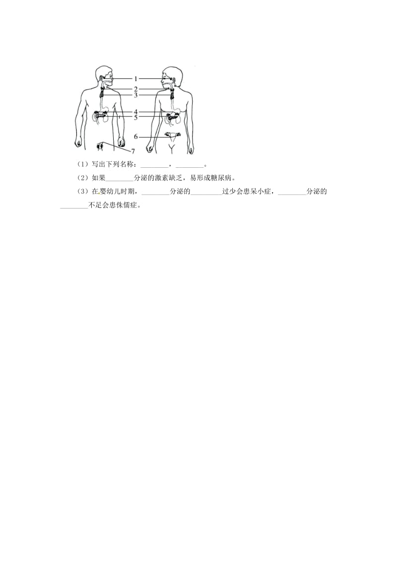 七年级生物下册 4.12.3激素调节习题（新版）北师大版.doc_第3页