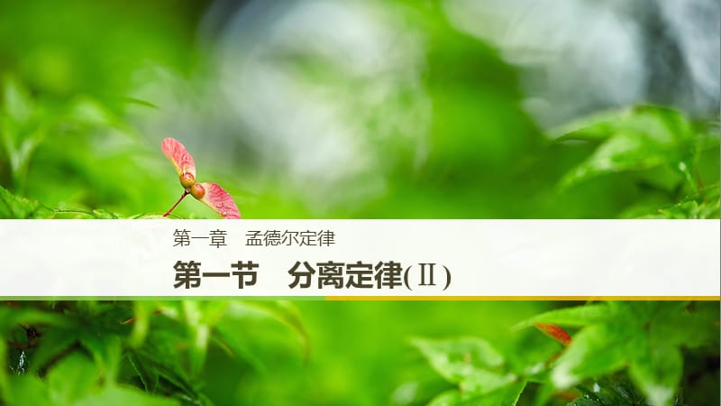 （通用版）2018-2019版高中生物 第一章 孟德爾定律 第一節(jié) 分離定律（Ⅱ）課件 浙科版必修2.ppt_第1頁