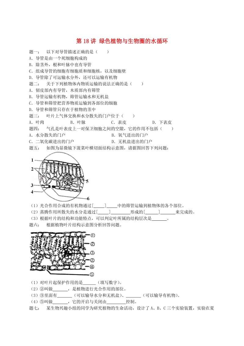 江苏省大丰市七年级生物上册 第18讲 绿色植物与生物圈的水循环练习 苏教版.doc_第1页