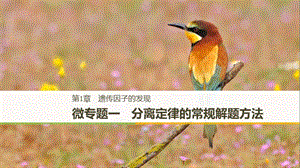 （粵渝冀遼蘇皖閩鄂湘津京魯瓊專用）2018-2019學年高中生物 第1章 遺傳因子的發(fā)現(xiàn) 微專題一 分離定律的常規(guī)解題方法課件 新人教版必修2.ppt