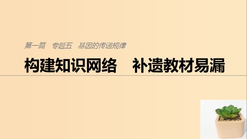 （通用版）2019版高考生物二轮复习 专题五 基因的传递规律 构建知识网络 补遗教材遗漏课件.ppt_第1页