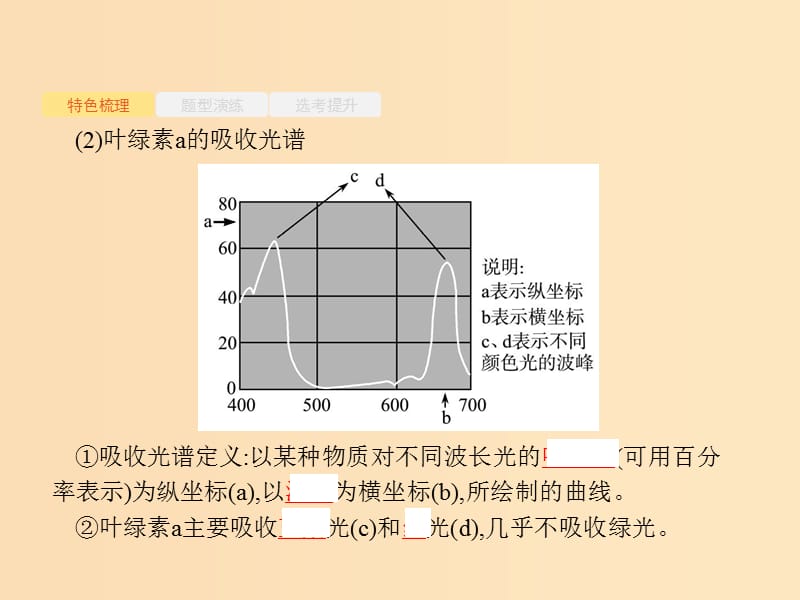 （浙江选考）2019高考生物二轮复习 第二部分 细胞的代谢 5 光合作用课件.ppt_第3页