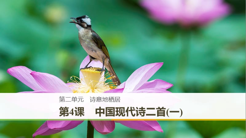 （豫寧）2018-2019版高中語文 第二單元 詩意地棲居 第4課 中國現(xiàn)代詩二首（一）課件 語文版必修1.ppt_第1頁