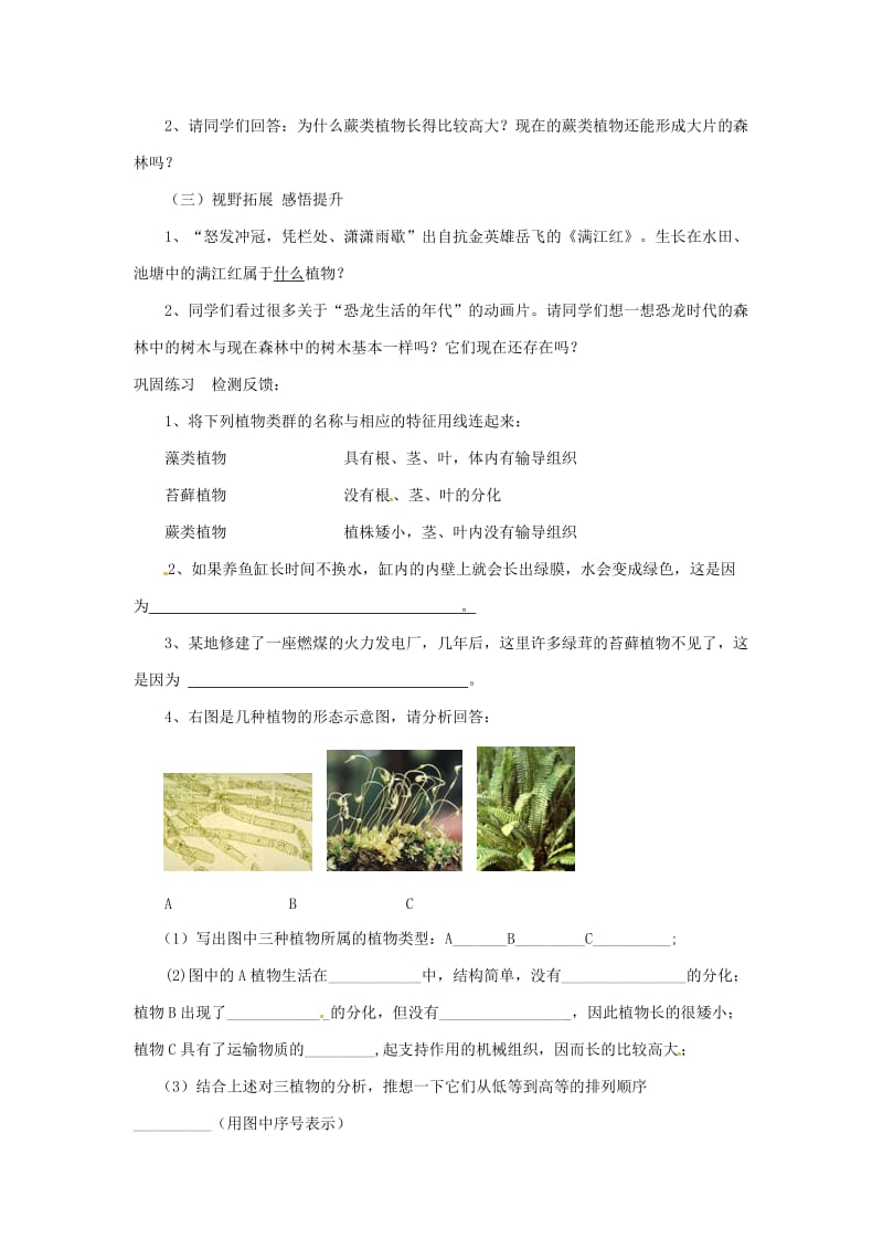 安徽省七年级生物上册 3.1.1《藻类、苔藓和蕨类植物》教案4 （新版）新人教版.doc_第3页