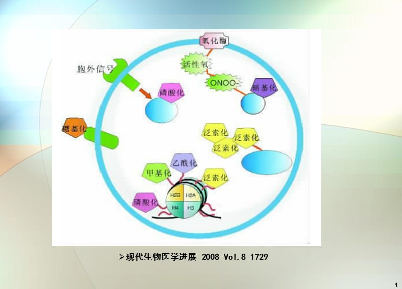 蛋白质翻译后修饰ppt课件_第1页