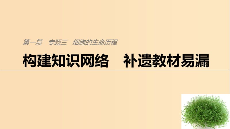 （通用版）2019版高考生物二轮复习 专题三 细胞的生命历程 构建知识网络 补遗教材遗漏课件.ppt_第1页