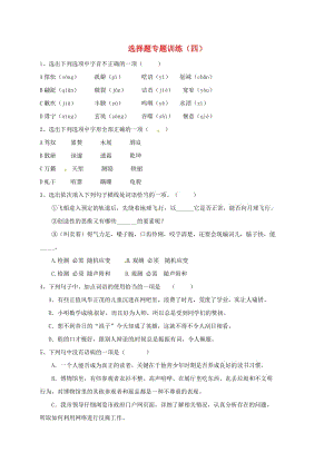 湖北省丹江口市中考語文選擇題專題訓(xùn)練四無答案.doc