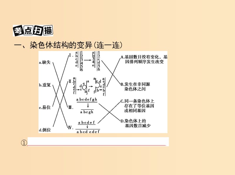 （北京专用）2019版高考生物一轮复习 第19讲 染色体变异与育种课件.ppt_第3页