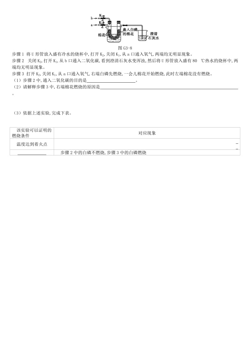 江苏省徐州市2019年中考化学专项复习 专项（三）燃烧条件的实验设计与改进练习.doc_第3页