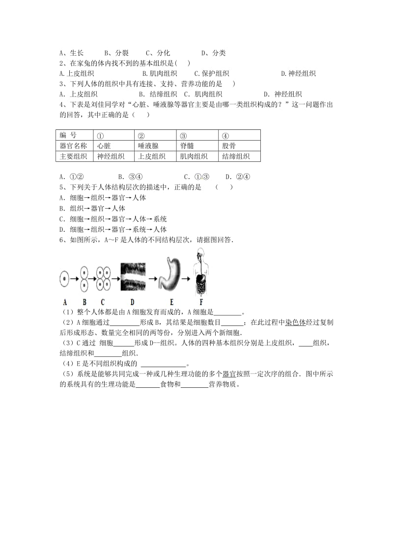 七年级生物上册2.2.2动物体的结构层次学案无答案 新人教版.doc_第2页