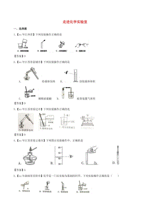 中考化學(xué)知識分類練習(xí)卷 走進(jìn)化學(xué)實(shí)驗(yàn)室.doc