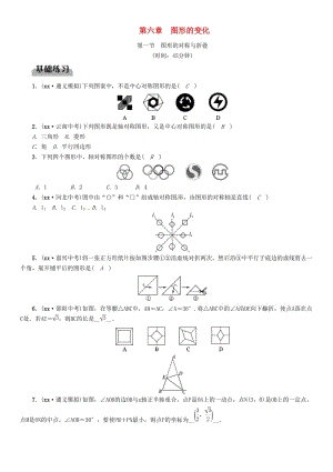 中考數(shù)學(xué)總復(fù)習(xí) 第一部分 教材知識梳理 第6章 圖形的變化 第1節(jié) 圖形的對稱與折疊（精練）試題.doc