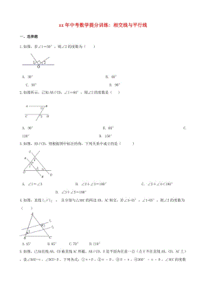 湖南省邵陽市中考數(shù)學提分訓練 相交線與平行線（含解析）.doc