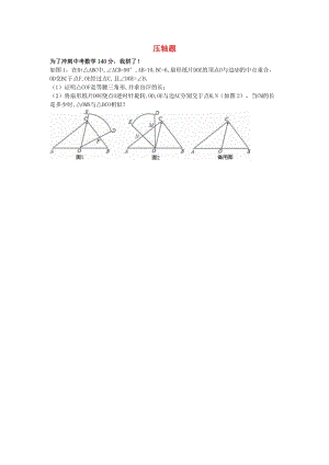 中考數(shù)學專題復習 壓軸題訓練題2.doc