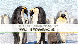 （江蘇專版）2019版高考生物二輪增分策略 專題一 細(xì)胞的分子組成和基本結(jié)構(gòu) 考點(diǎn)2 細(xì)胞的結(jié)構(gòu)與功能課件.ppt