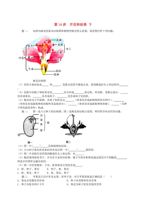 江蘇省大豐市七年級(jí)生物上冊(cè) 第14講 開花和結(jié)果（下）練習(xí) 蘇教版.doc