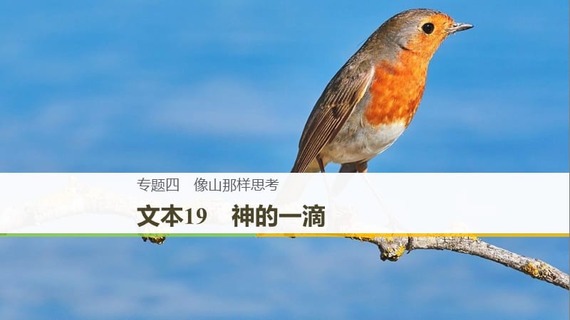 （浙江专用）2018-2019版高中语文 专题四 像山那样思考 文本19 神的一滴课件 苏教版必修1.ppt_第1页