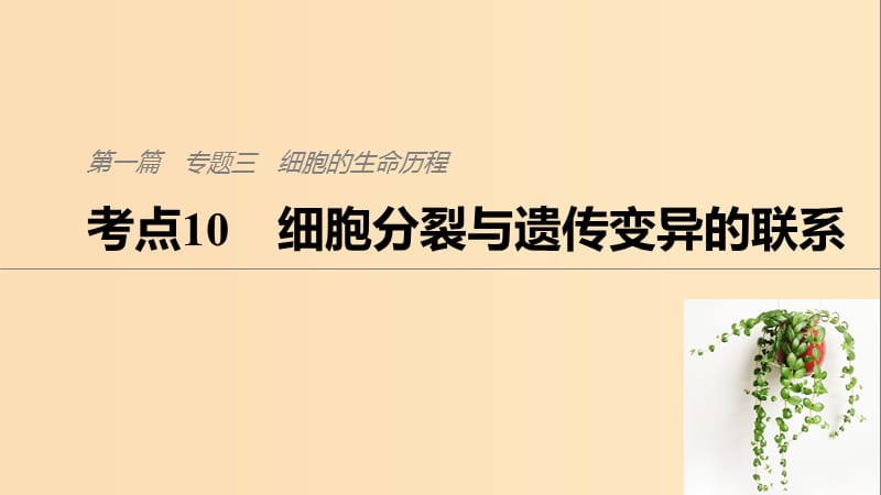 （通用版）2019版高考生物二輪復(fù)習(xí) 專題三 細胞的生命歷程 考點10 細胞分裂與遺傳變異的聯(lián)系課件.ppt_第1頁