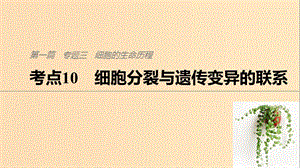 （通用版）2019版高考生物二輪復(fù)習(xí) 專題三 細(xì)胞的生命歷程 考點10 細(xì)胞分裂與遺傳變異的聯(lián)系課件.ppt