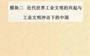 （廣東專版）2019高考歷史二輪復(fù)習(xí) 上篇 模塊二 近代世界工業(yè)文明的興起與工業(yè)文明沖擊下的中國 第6講 工業(yè)文明的到來—近代中后期的世界課件.ppt