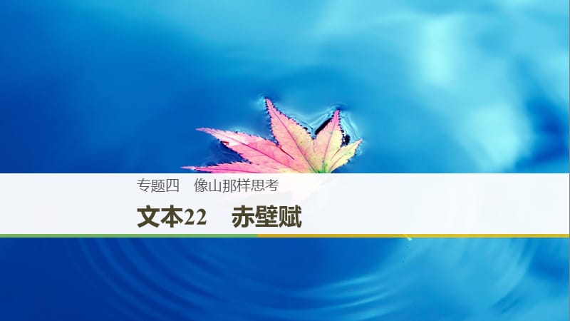 （浙江專(zhuān)用）2018-2019版高中語(yǔ)文 專(zhuān)題四 像山那樣思考 文本22 赤壁賦課件 蘇教版必修1.ppt_第1頁(yè)