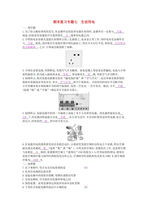 九年級物理全冊 期末復習專題七 生活用電練習 （新版）新人教版.doc