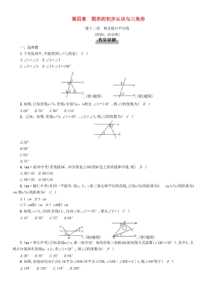 中考數(shù)學(xué)總復(fù)習(xí) 第一編 教材知識(shí)梳理篇 第4章 圖形的初步認(rèn)識(shí)與三角形 第12講 相交線與平行線（精練）試題.doc