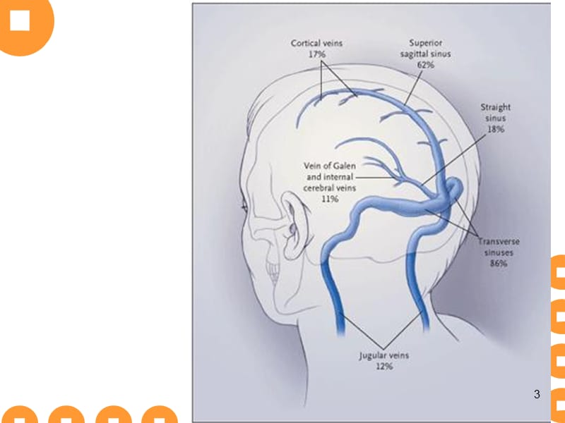 大脑静脉系统解剖ppt课件_第3页