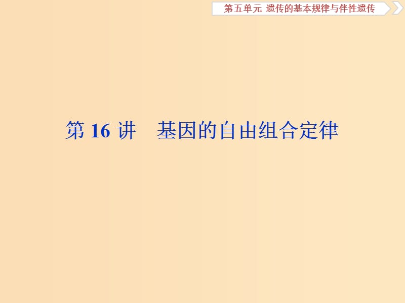 （人教通用版）2020版高考生物新探究大一輪復習 第16講 基因的自由組合定律課件.ppt_第1頁