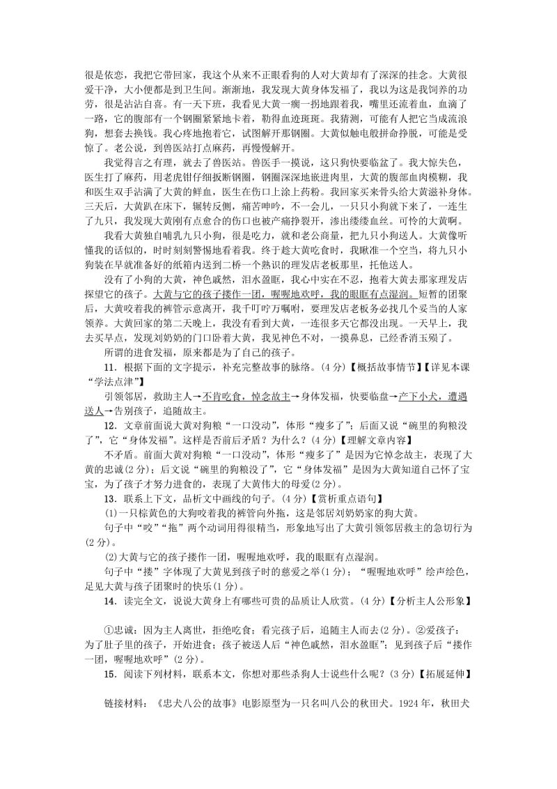 河南省七年级语文上册 第五单元 16 猫习题 新人教版.doc_第3页