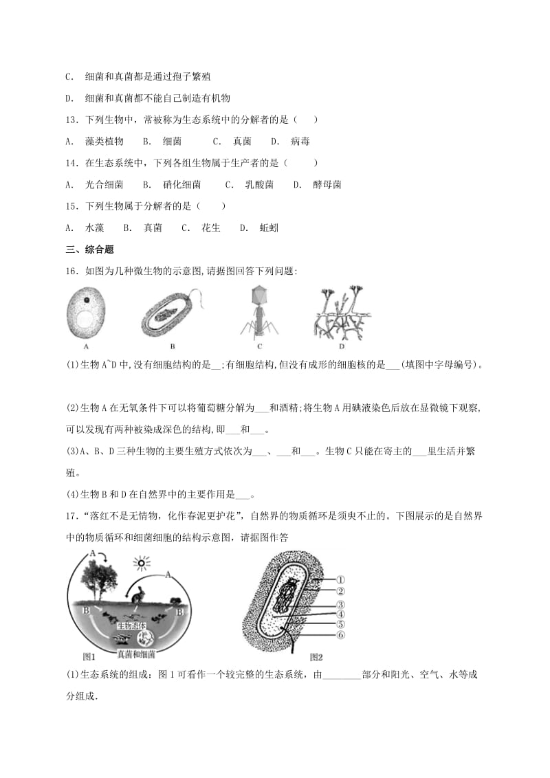 八年级生物上册5.4.4细菌和真菌在自然界中的作用测试 新人教版.doc_第3页