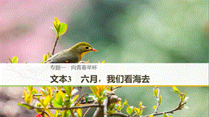 （浙江專用）2018-2019版高中語(yǔ)文 專題一 向青春舉杯 文本3 六月我們看海去課件 蘇教版必修1.ppt