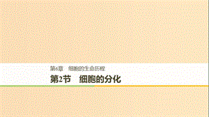 （全國通用版）2018-2019版高中生物 第六章 細胞的生命歷程 第2節(jié) 細胞的分化課件 新人教版必修1.ppt