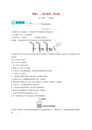 九年級(jí)化學(xué)上冊(cè) 第六單元 碳和碳的氧化物 課題3 二氧化碳和一氧化碳 6.3.1 二氧化碳同步練習(xí) 新人教版.doc