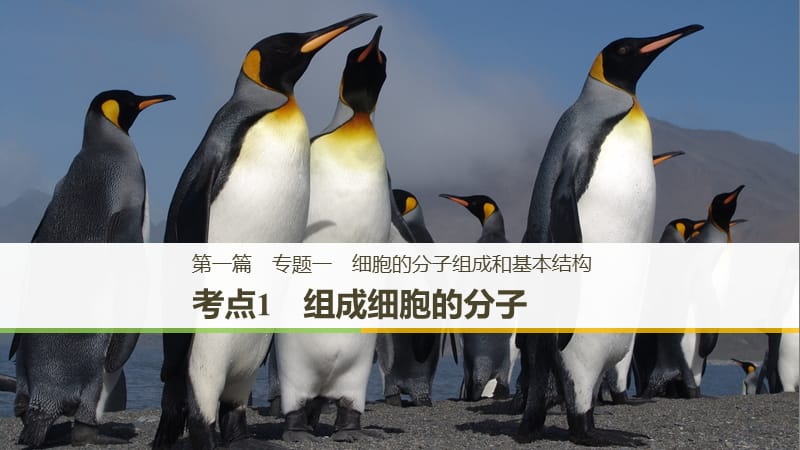 （江蘇專版）2019版高考生物二輪增分策略 專題一 細胞的分子組成和基本結(jié)構(gòu) 考點1 組成細胞的分子課件.ppt_第1頁