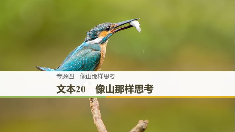 （浙江專用）2018-2019版高中語(yǔ)文 專題四 像山那樣思考 文本20 像山那樣思考課件 蘇教版必修1.ppt_第1頁(yè)