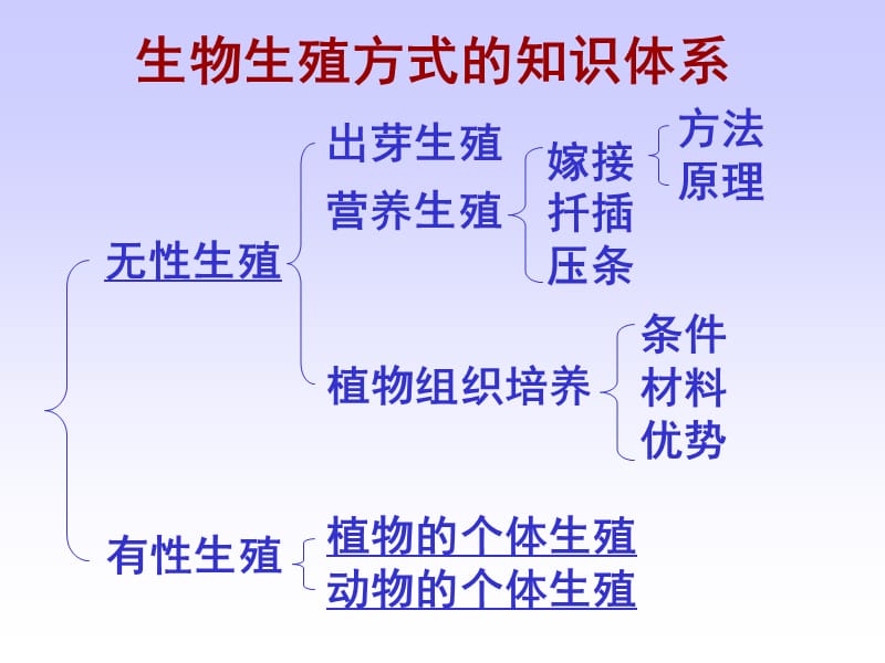 生物的生殖复习版(tan).ppt_第3页