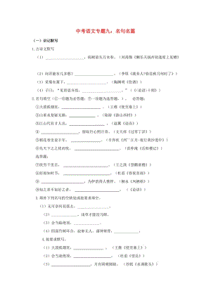 中考語文專題復習 專題九 名句名篇訓練.doc