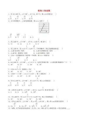 中考數學專項復習 銳角三角函數練習.doc