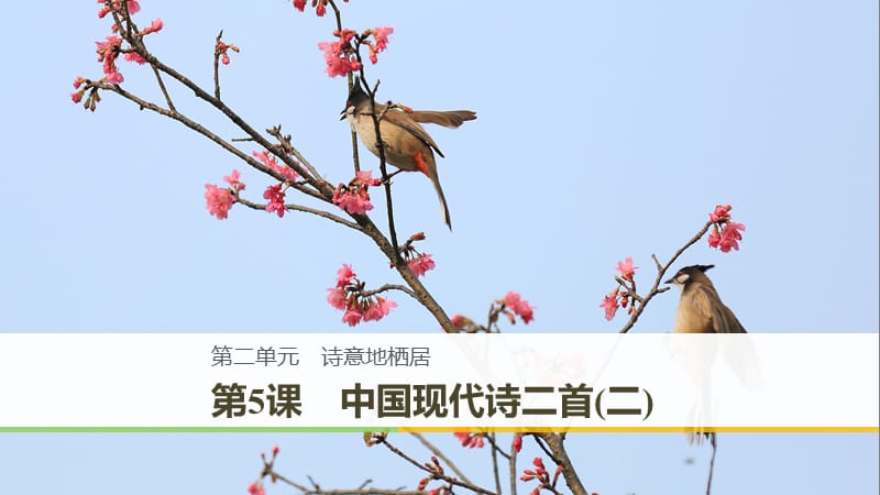 （豫寧）2018-2019版高中語(yǔ)文 第二單元 詩(shī)意地棲居 第5課 中國(guó)現(xiàn)代詩(shī)二首（二）課件 語(yǔ)文版必修1.ppt_第1頁(yè)